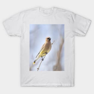 Cedar Waxwing T-Shirt